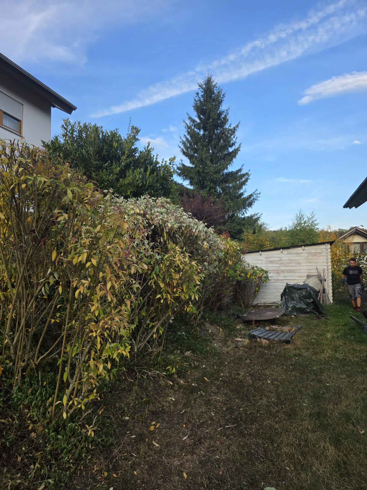 Garden photo 37